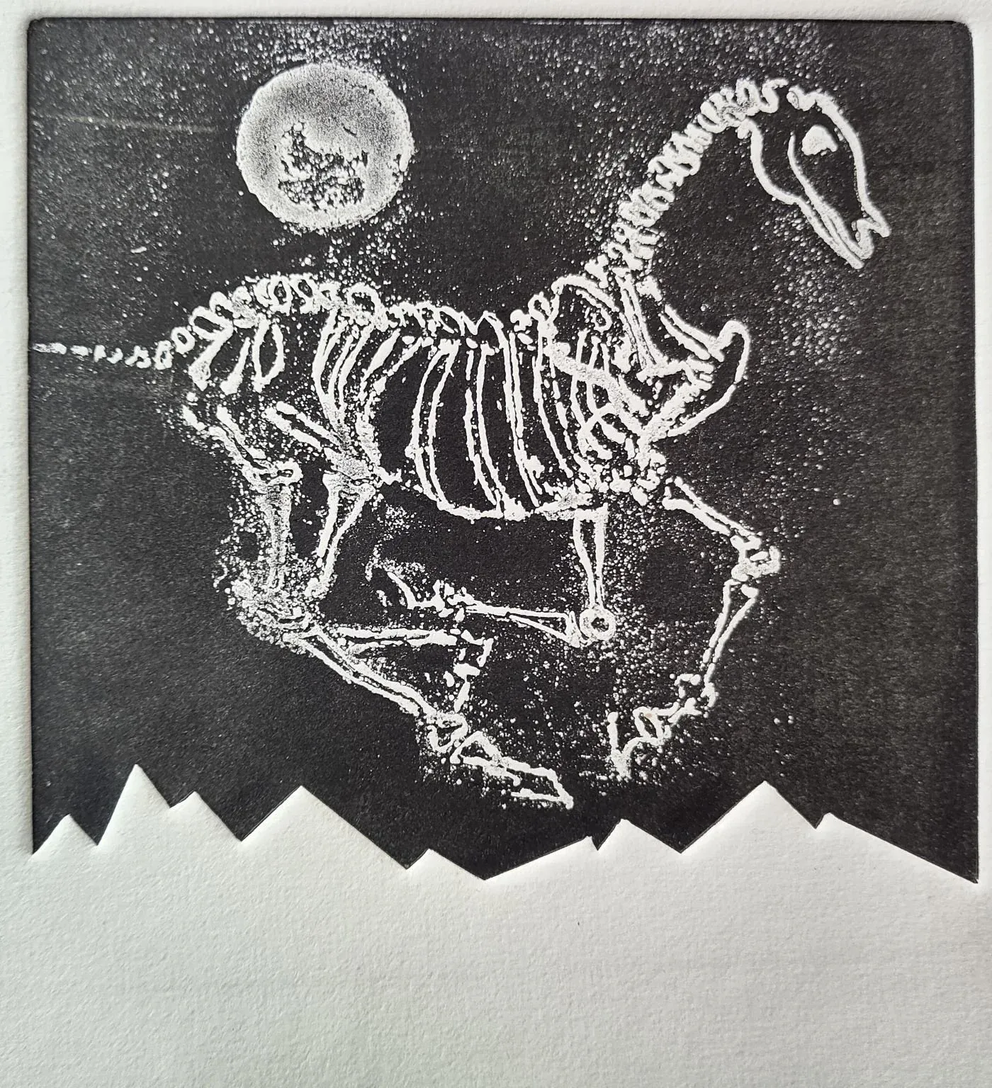 Nocturnal Bones, Etching by Bruce Thomson