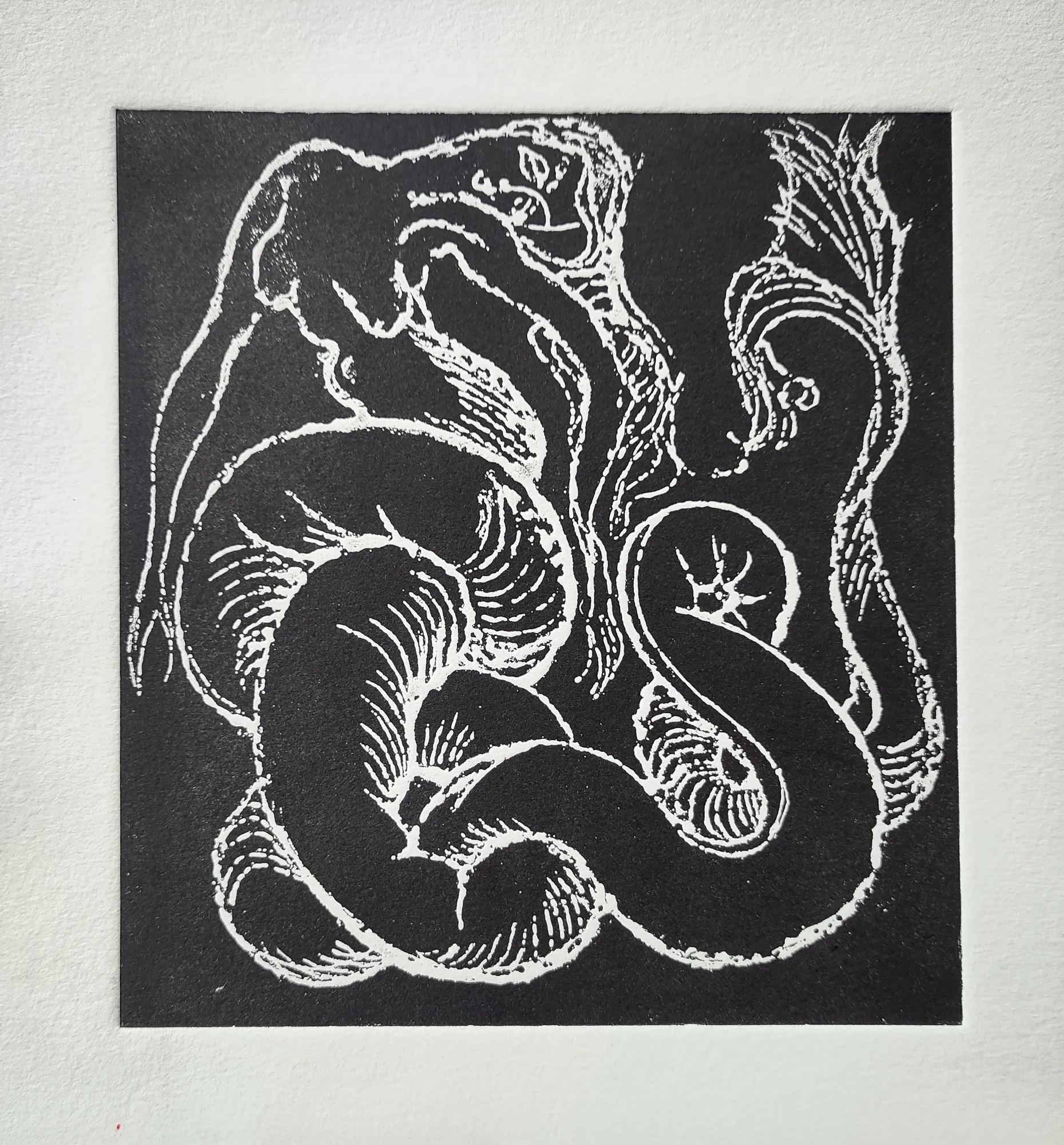 Long-Tailed Mermaid (plate), Etching by Bruce Thomson