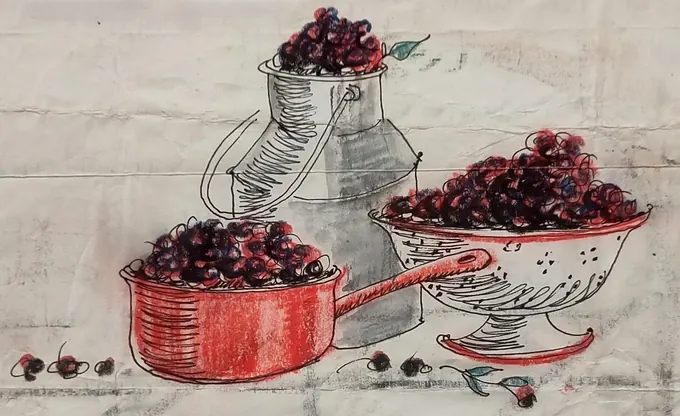 Wild Cherry Picking, Letter home · Illustration by Bruce Thomson